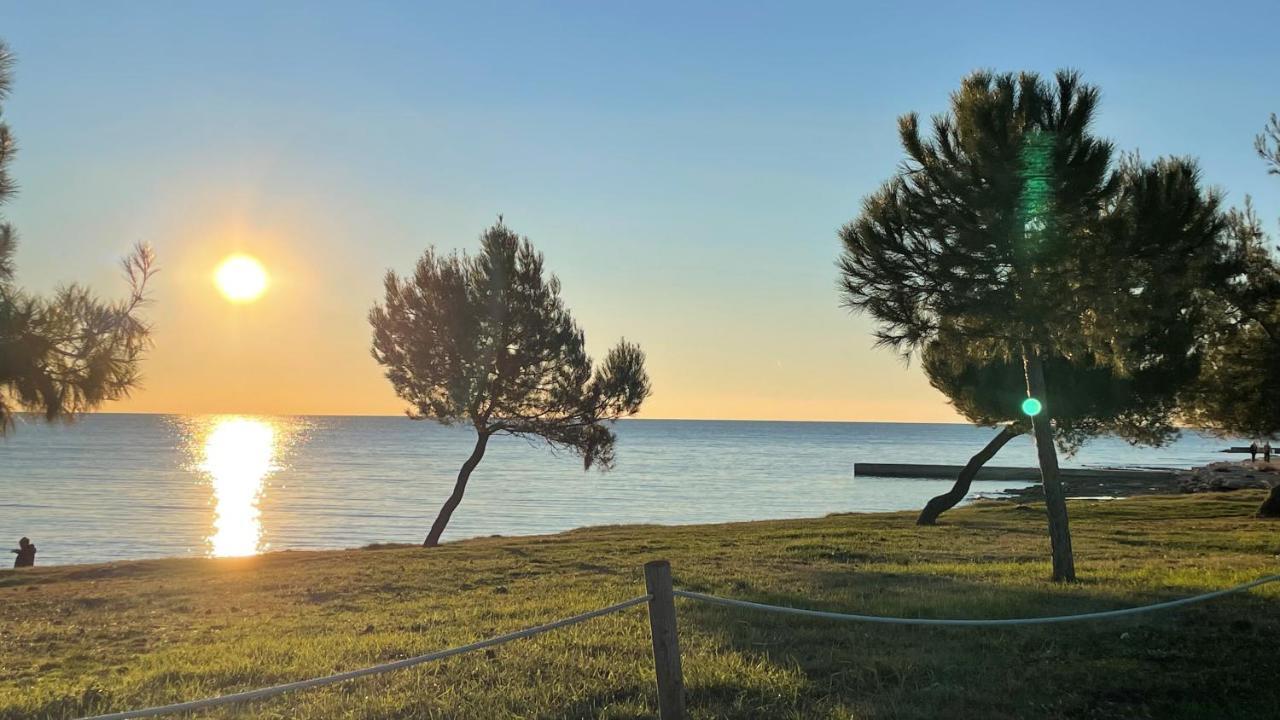 Iva Apartments Novigrad Istria Exterior foto